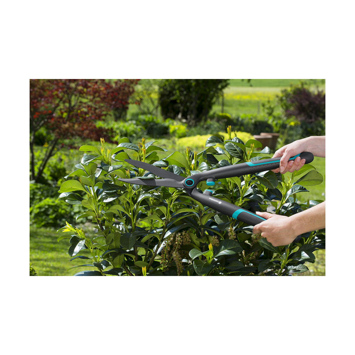 Tagliasiepi Gardena  easycut 12301-20